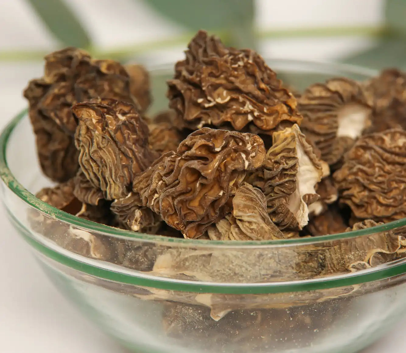 Dried Morels