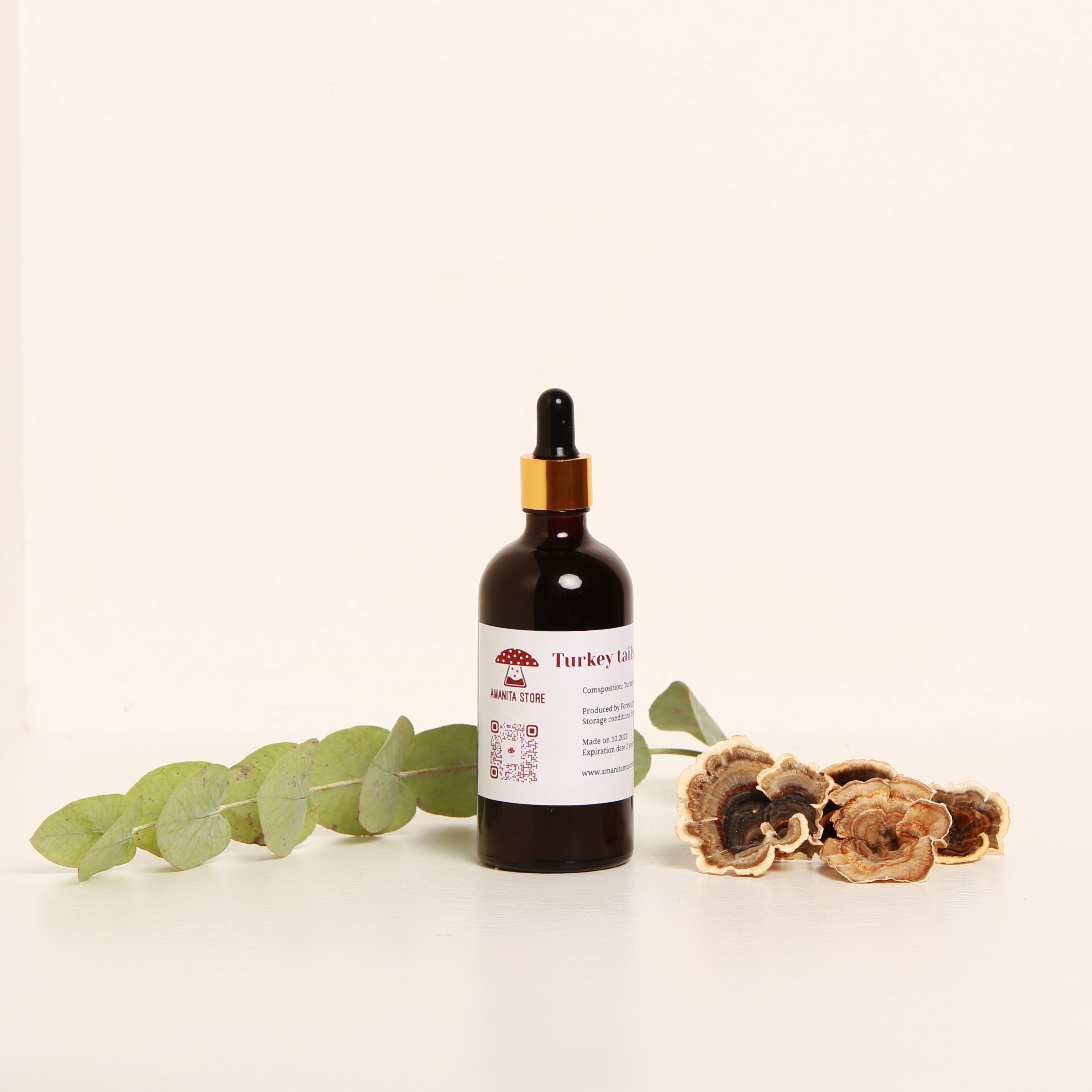 Trametes versicolor Tincture – Double Extraction from Fresh Organic Fruiting Bodies.