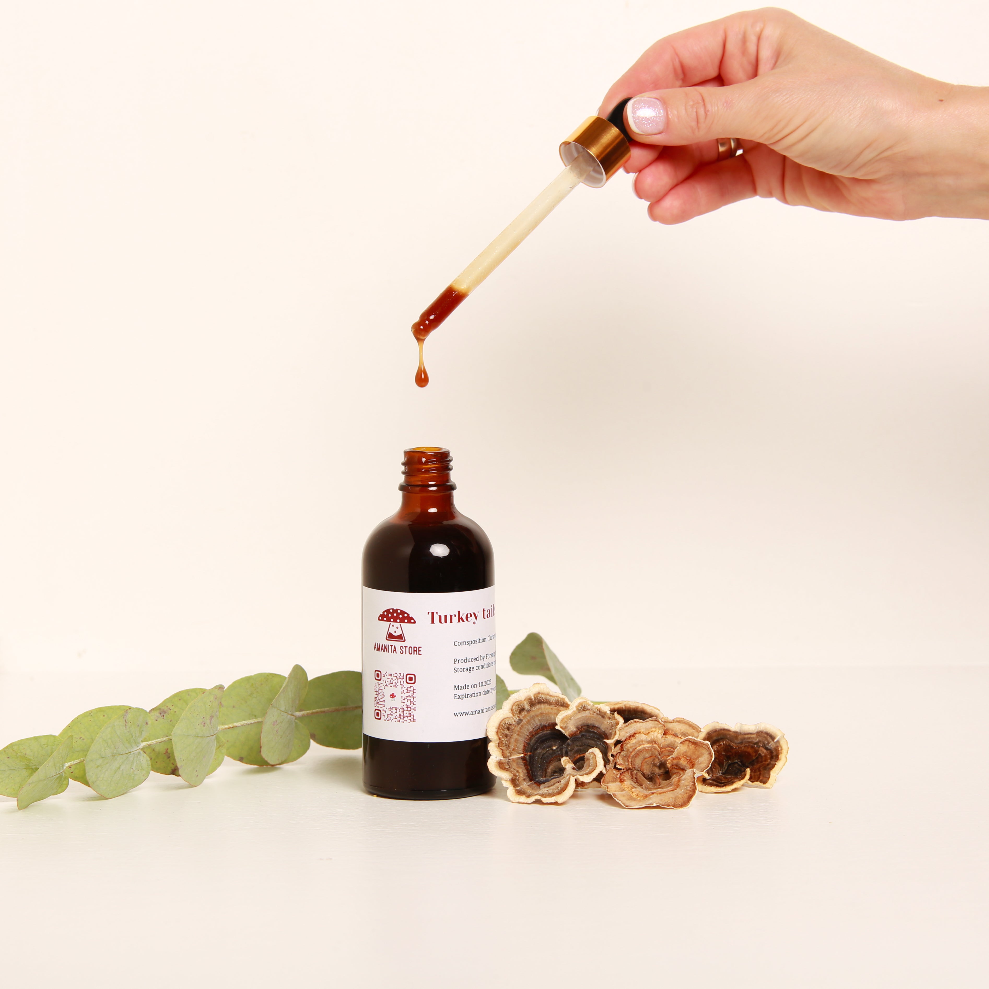 Trametes versicolor Tincture – Double Extraction from Fresh Organic Fruiting Bodies.