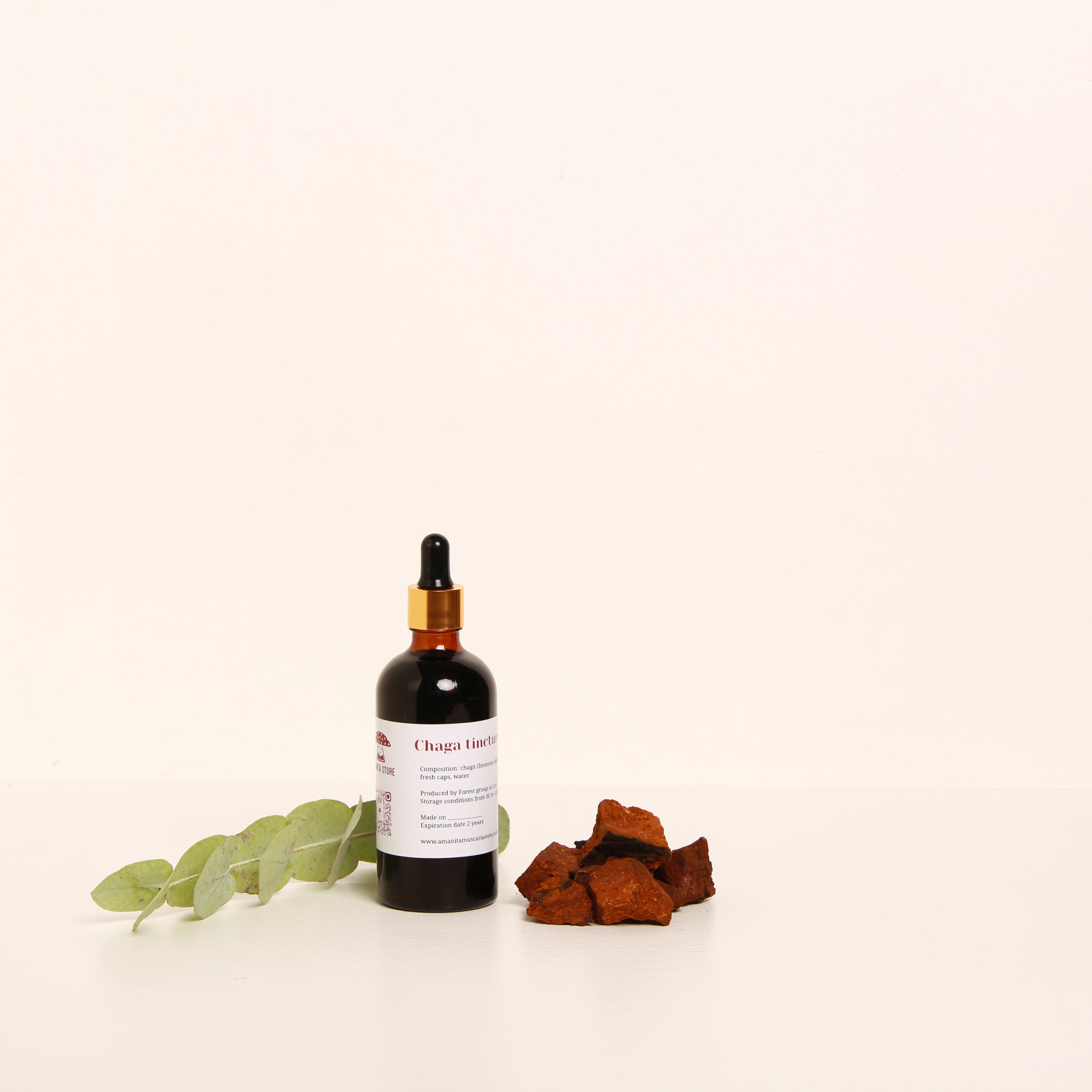 Chaga (Inonotus obliquus) tincture